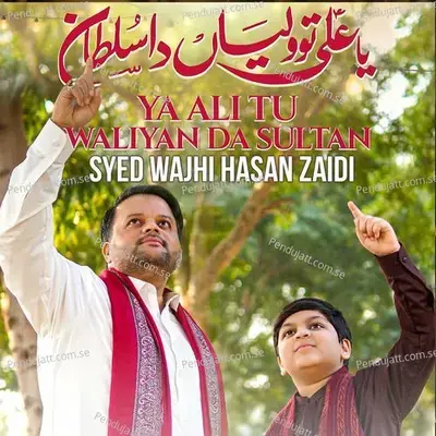 Ya Ali Tu Waliyan Da Sultan - Syed Wajhi Hasan Zaidi album cover 