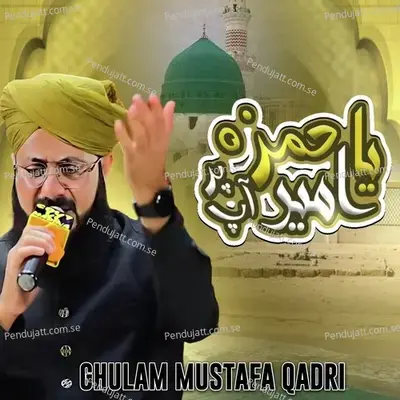 Ya Ameer E Hamza Ap Par - Ghulam Mustafa Qadri album cover 