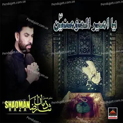 Ya Ameer Ul Momineen A s - Shadman Raza album cover 