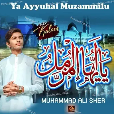 Ya Ayyuhal Muzammilu - Ali Sher album cover 