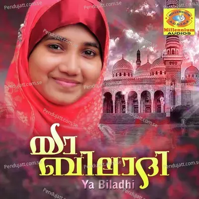 Vahali - Sidrathul Munthaha album cover 