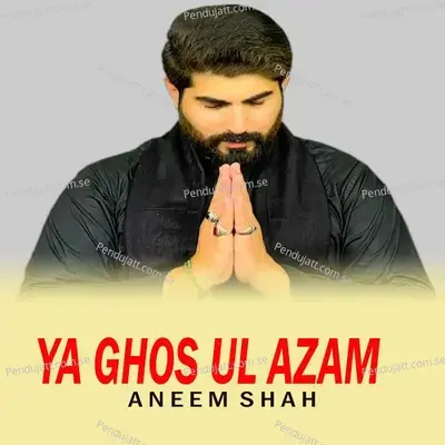 Ya Ghos Ul Azam - Aneem Shah album cover 