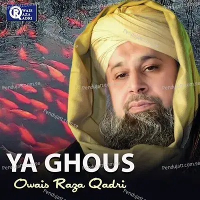 Ya Ghous - Owais Raza Qadri album cover 