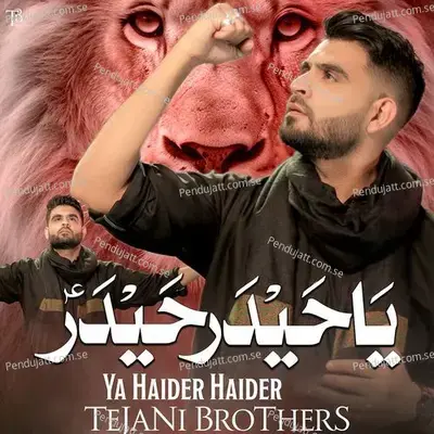 Ya Haider Haider - Tejani Brothers album cover 