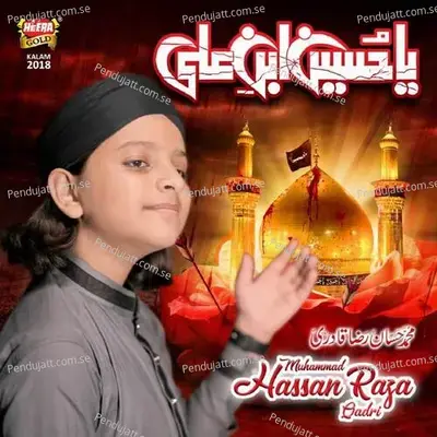 Ya Hussain Ibn E Ali - Muhammad Hassan Raza Qadri album cover 