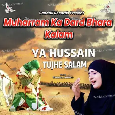 Ya Hussain Tujhe Salam - Sandali Ahmad album cover 