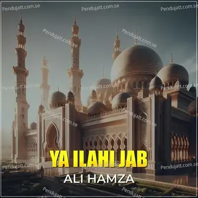 Ya Ilahi Jab - Ali Hamza album cover 