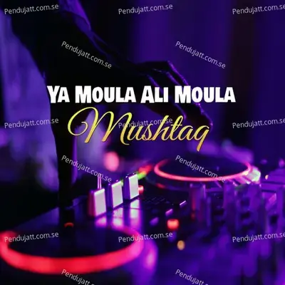 Ya Moula Ali Moula - Mushtaq album cover 