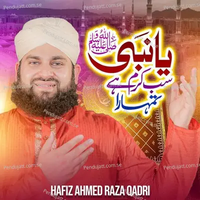 Tu Peer Mera - Hafiz Ahmed Raza Qadri album cover 