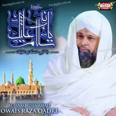 Muhammad Mazhar E Kamil - Alhaaj Muhammad Owais Raza Qadri album cover 