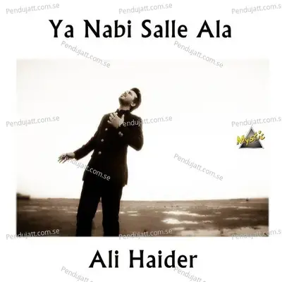 Yaad-E-Muhammad - Ali Haider album cover 