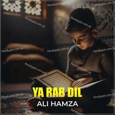 Ya Rab Dil - Ali Hamza album cover 