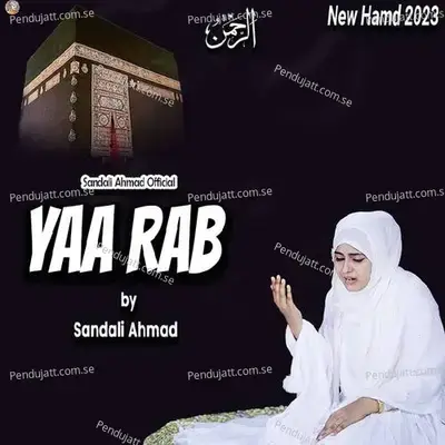 Ya Rab - Sandali Ahmad album cover 