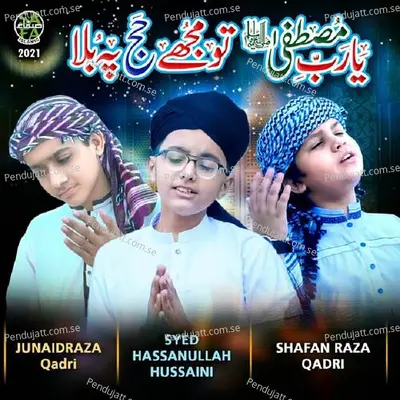 Ya Rabbe Mustafa - Syed Hassan Ullah Hussaini album cover 