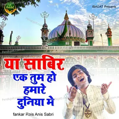 Ya Sabir Ek Tum Ho Hamare Duniya Mein - Rais Anis Sabri album cover 