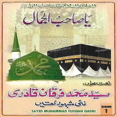 Aaqa Sadle Madine - Syed Muhammad Furqan Qadri album cover 