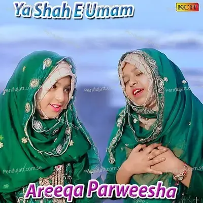 Ya Shah E Umam - Areeqa Parweesha album cover 