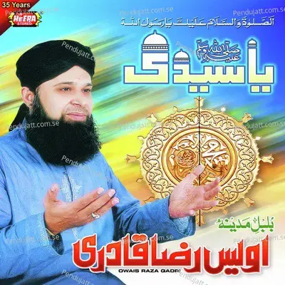 Kare Chara Saazi Ziyarat - Owais Raza Qadri album cover 