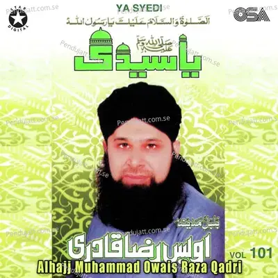 Ya Syedi  Vol  101 - Alhajj Muhammad Owais Raza Qadri cover album