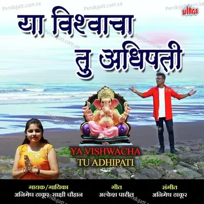 Ya Vishwacha Tu Adhipati - Animesh Thakur album cover 