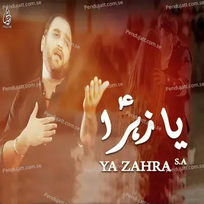 Mera Bacha Hai Kahan - Shahid Hussain Baltistani album cover 