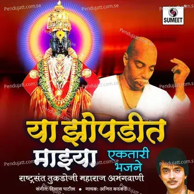 Dev Aapule Antari - Ajit Kadkade album cover 