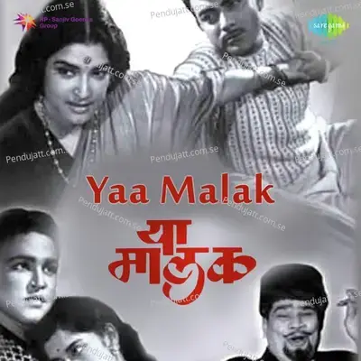 Preeticha Nav Vasant - Asha Bhosle album cover 