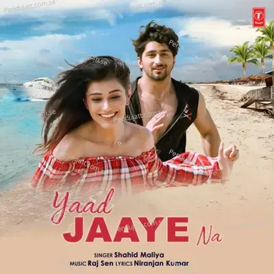 Yaad Jaaye Na - Shahid Mallya album cover 