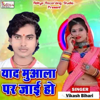 Javan Gor Holisan U Dil Ke Kathor Holisan - Vikash Bihari album cover 