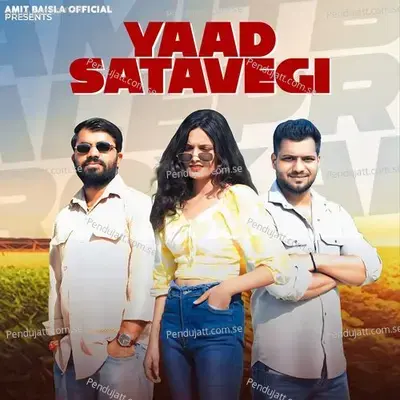 Yaad Satavegi - Amit Baisla album cover 