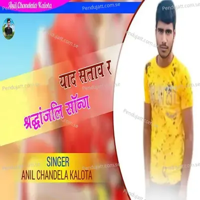Yaad Stave Re Shradhanjali Song - Anil Chandela album cover 
