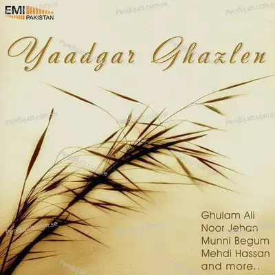 Chiragh-E-Toor Jalao - Mehdi Hassan album cover 