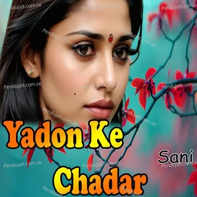 Yaado Ki Chadar - Sani album cover 