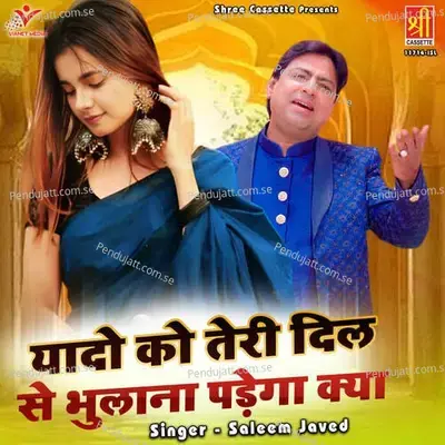 Yaado Ko Teri Dil Se Bhulana Padega Kya - Saleem Javed album cover 