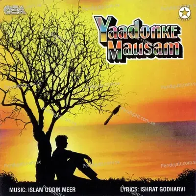 Teri Yaadon Ke Mausam - Zafar Iqbal Zafri album cover 