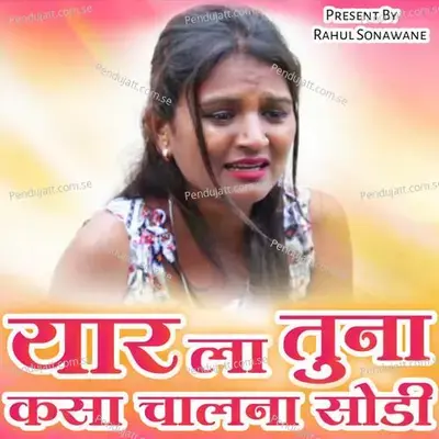 Yaar La Tuna Kasa Chalana Sodi - Hiralal Wagh album cover 