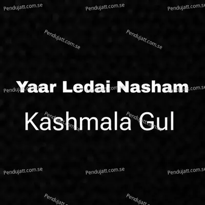 Yaar Ledai Nasham - Kashmala Gul album cover 