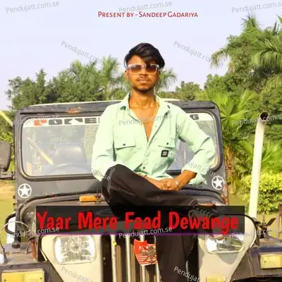 Yaar Mere Faad Dewange - Amit Baisla album cover 