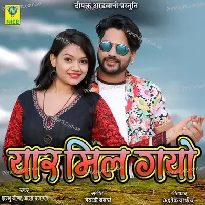 Yaar Mil Gayo - Sambhu Meena album cover 