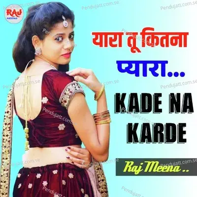 Yaara Tu Kitna Pyara Kade Na Karde - Raj Meena album cover 