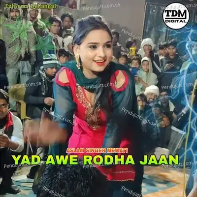 Yad Awe Rodha Jaan - Tahseem Dehangal album cover 