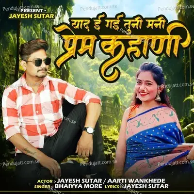 Yad E Gayi Tuni Mani Prem Kahani - Bhaiya More album cover 