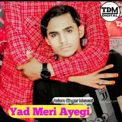 Yad Meri Ayegi - Tahseem Dehangal album cover 