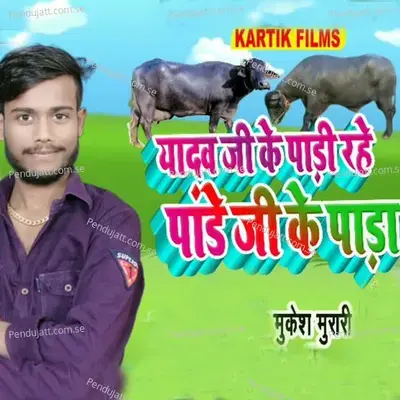 Yadav Ji Ke Pari Rahe Pandey Ji Ke Para - Mukesh Murari album cover 