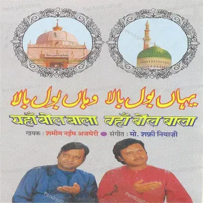 Jo Waliyon Ka Shaida Hai - Shamim Naeem Ajmeri album cover 