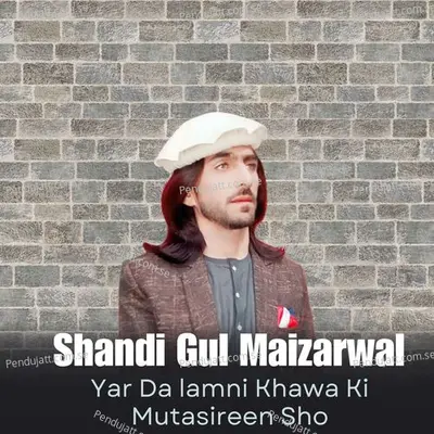 Pa Biwafa Ban Di Mayan Shawam - Shandi Gul Mizarwal album cover 