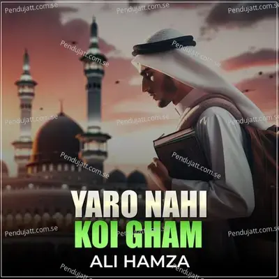 Yaro Nahi Koi Gham - Ali Hamza album cover 