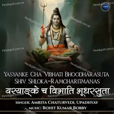 Yasyanke Cha Vibhati Bhoodharsuta-Shiv Shloka-Ramcharitmanas - Amrita Chaturvedi album cover 