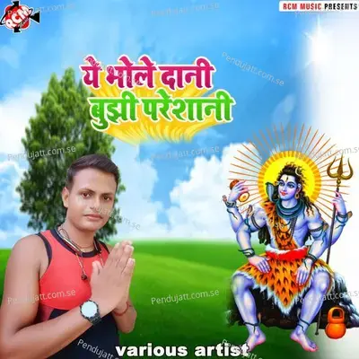 Ye Bholedani Bujhi Pareshani - BN Yadav album cover 