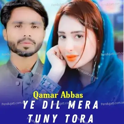 Assi Nashi Pe Honde Han - Qamar Abbas album cover 